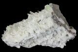2.9" Green Augelite Crystals on Quartz - Peru - #173385-2